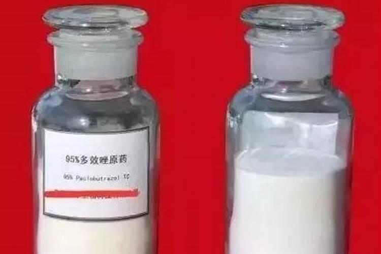 多效唑解药最简单方法