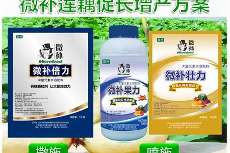 莲藕种植如何施肥 使用什么 肥？