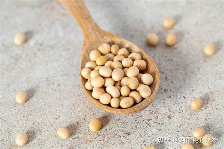 大豆花期喷什么叶面肥好