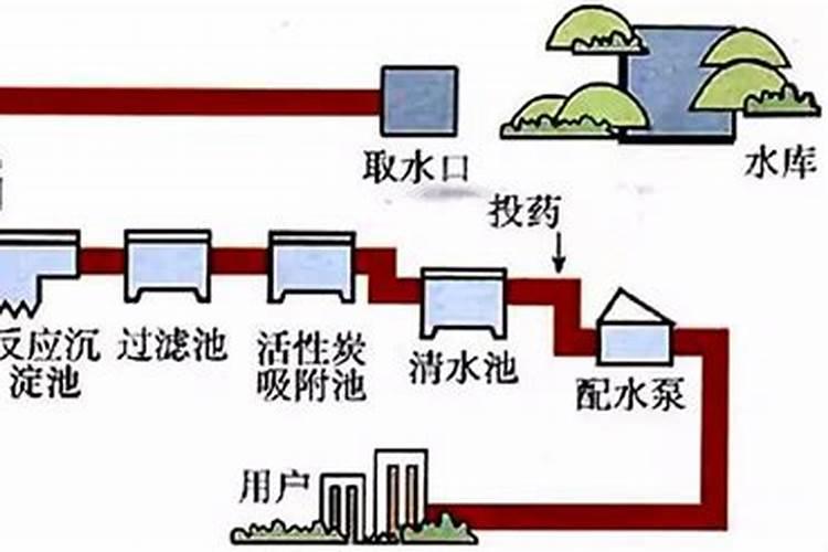 海缸的水质不干净可能是什么原因导致的呢？