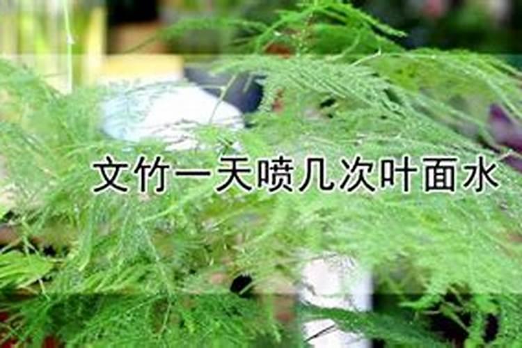 黄腐酸钾的功效和使用方法