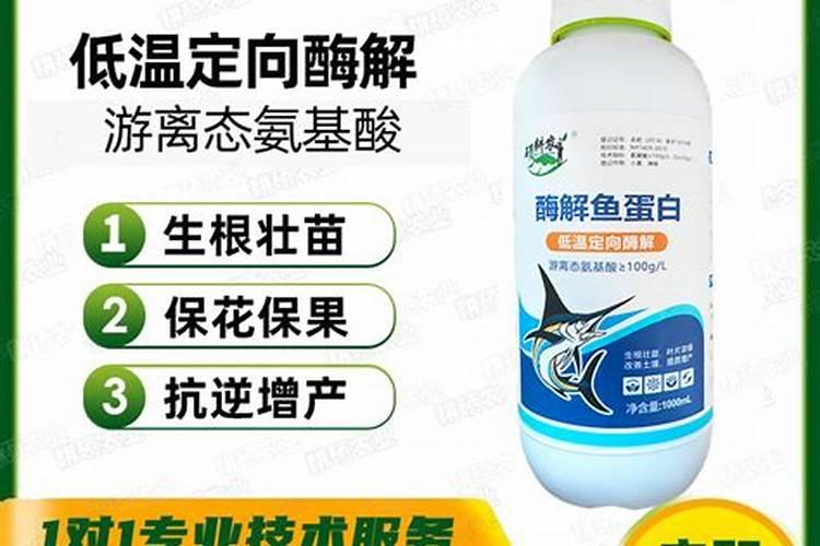 鱼蛋白 叶面肥