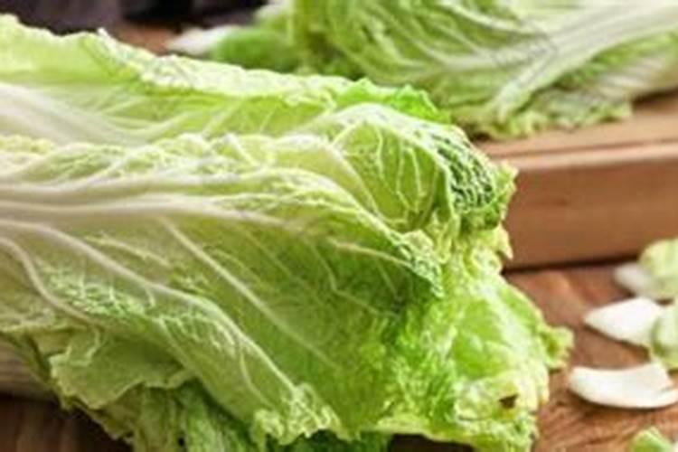 秋白菜用什么化肥合适给秋白菜施肥哪些是要注意的