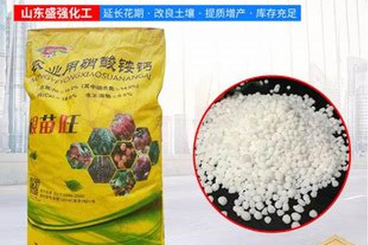 硝酸钙化学式