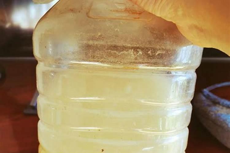 黄豆水是氮肥还是磷肥