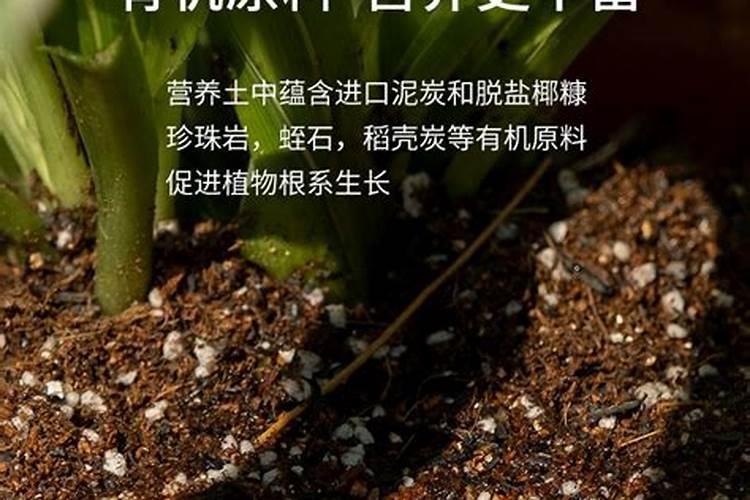怎样管理种菜的土能实现最佳效果