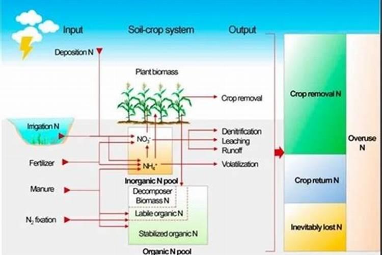 水溶肥每株苹果施多少斤