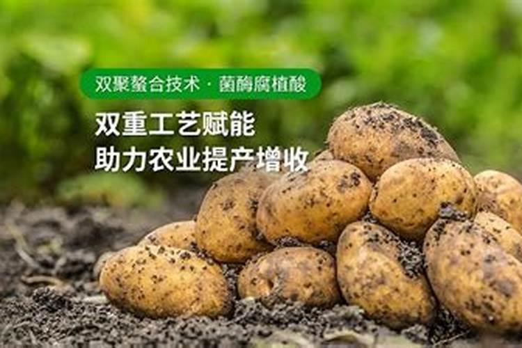 水溶肥哪家好