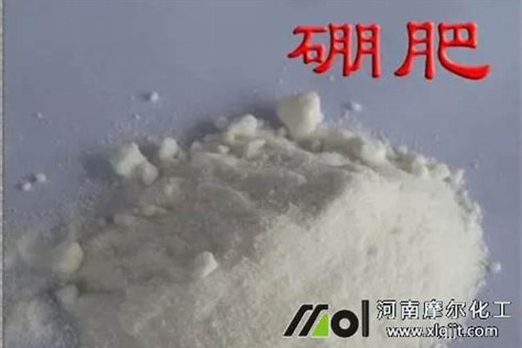 硼肥和杀虫剂杀菌剂能混用吗,硼肥是什么肥料