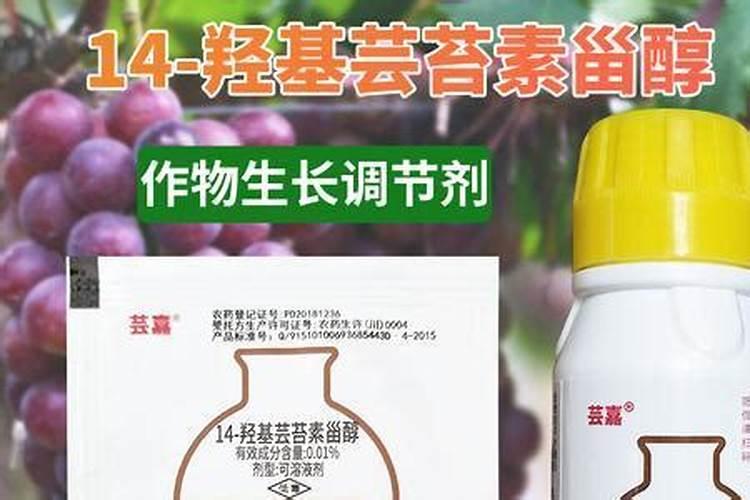 国内最好的芸苔素内酯