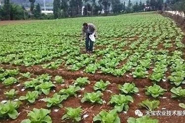 硝酸磷肥放在水里多久融化掉
