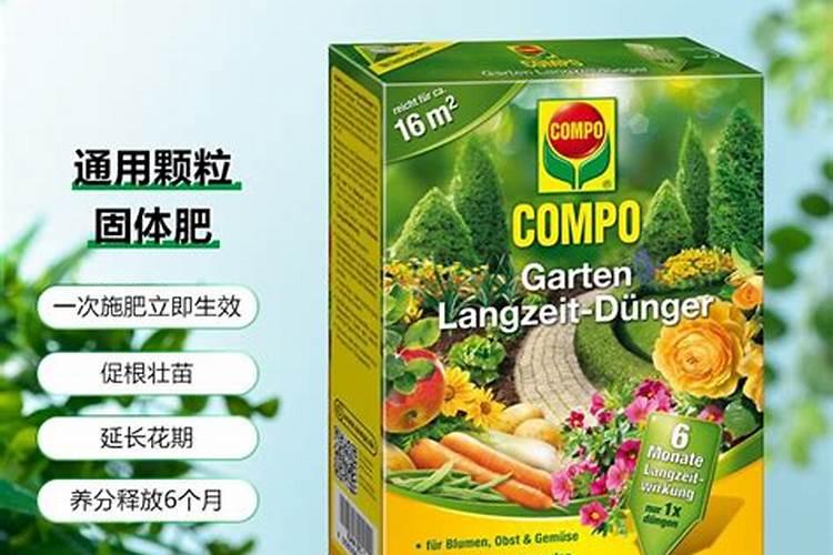 里面有四个主角去烫头,烫完头出来后被外星物种袭击,然后四圣兽化身的铠...