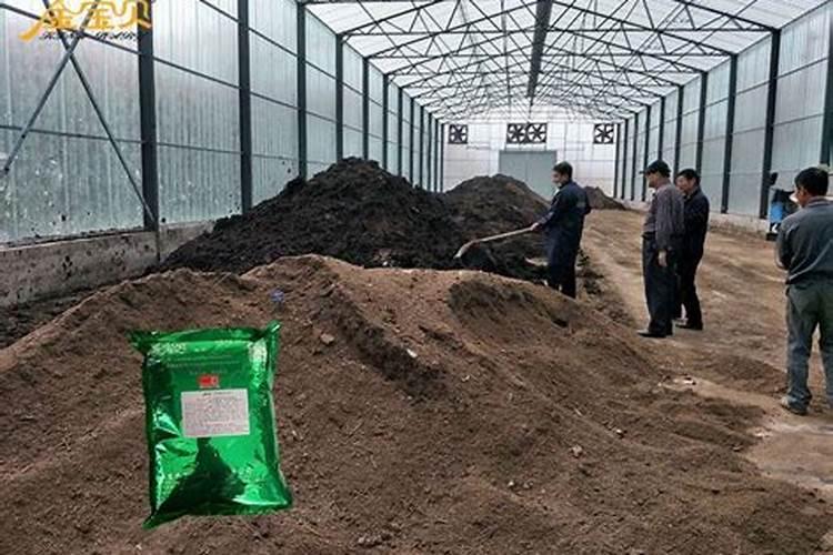 家庭有机肥发酵方法 家庭有机肥怎么发酵方法