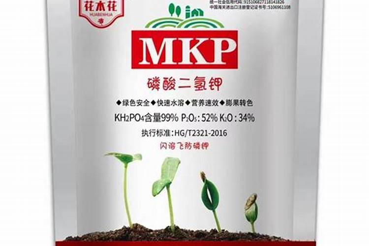 哪种钾肥最好(市面上常见都最好的钾肥是什么钾肥)