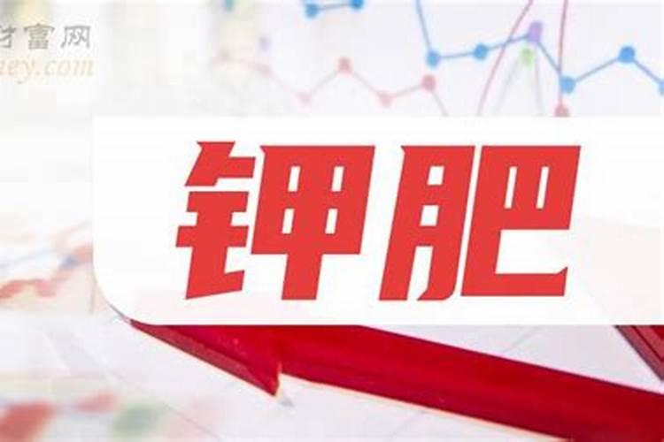 钾肥概念股图解如何通过量价关系判断主力是否出局