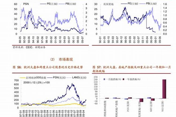 (证券市场基础知识pdf)钾肥龙头股票有哪些