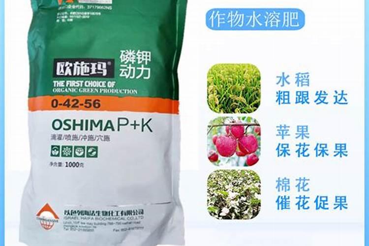 荷兰易普润进口IPE水溶肥有什么特点？