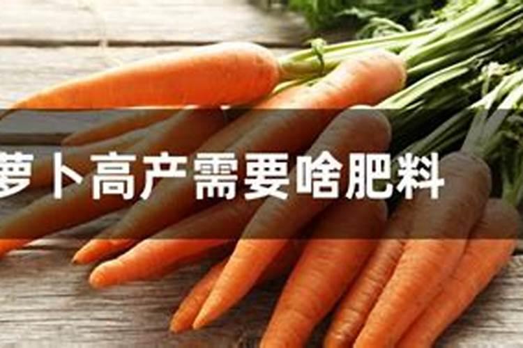 萝卜追肥最佳时期