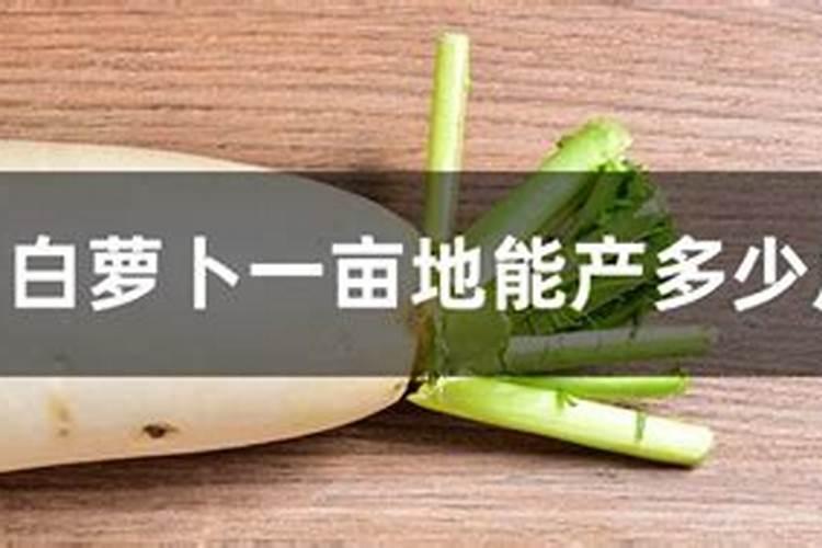 水溶肥做叶面肥用量多少