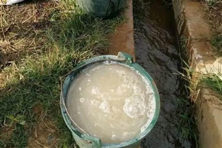 1斤水溶肥兑多少水