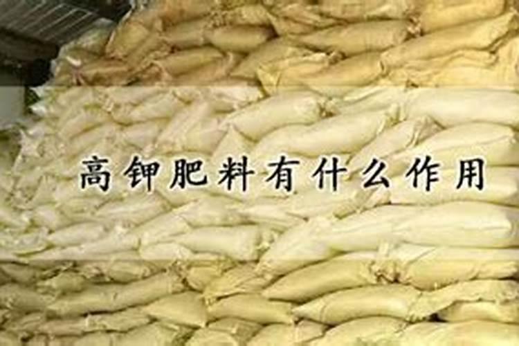 草莓苗种植多久能施肥