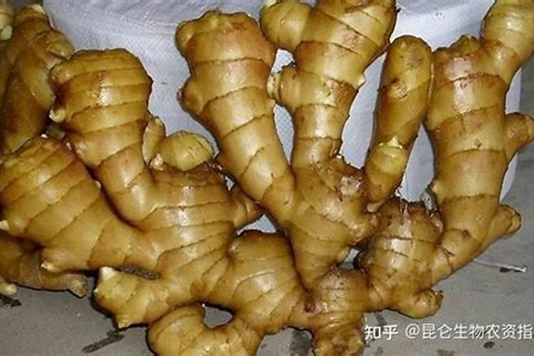 生姜喷施磷酸二氢钾的作用