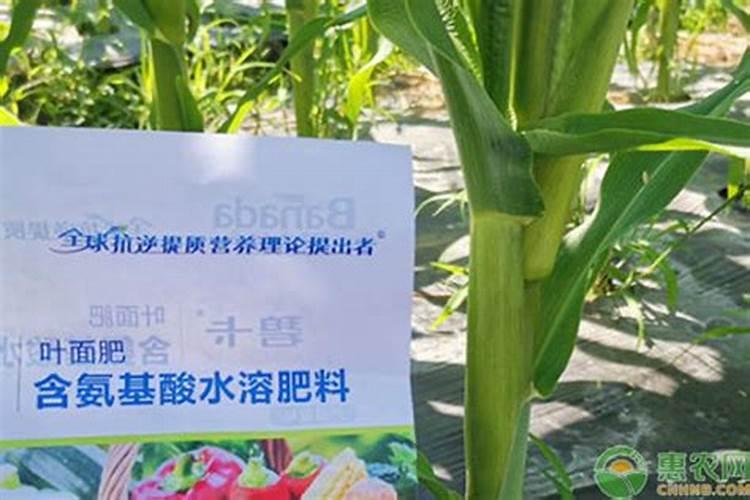 氨基酸钙叶面肥作用,碧护叶面肥能不能连续使用