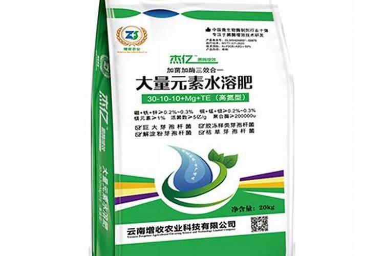 蕙兰艺草跑艺了怎么办