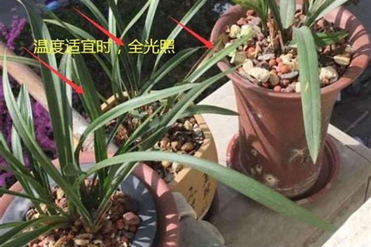 种植熟菜的土壤有没有好坏区别