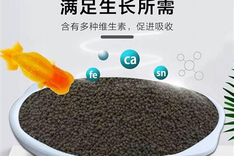 胶原蛋白哪一种好