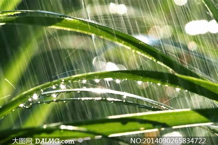 早晨晴天喷叶面肥半夜下雨雨了效果怎么样