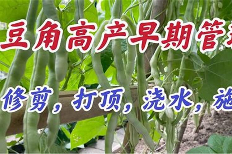 中国化肥前二十名