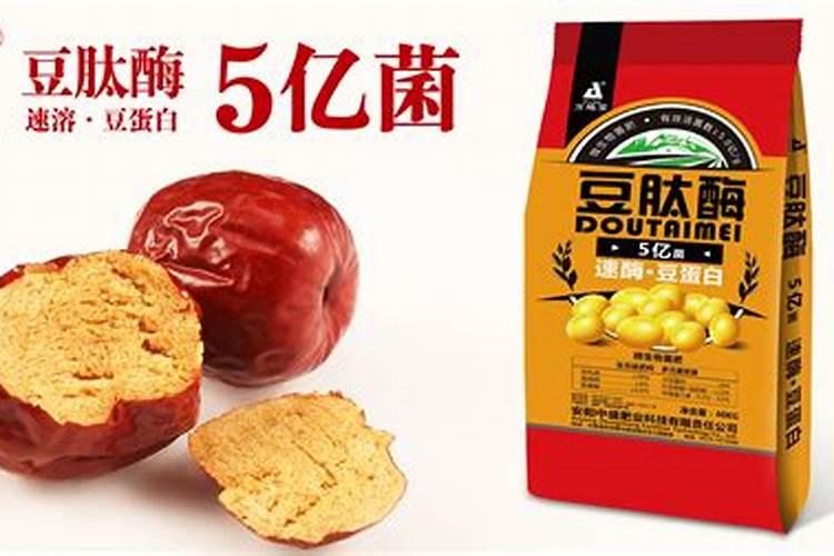 枣树怎样施肥又甜又大 施肥技巧有哪些
