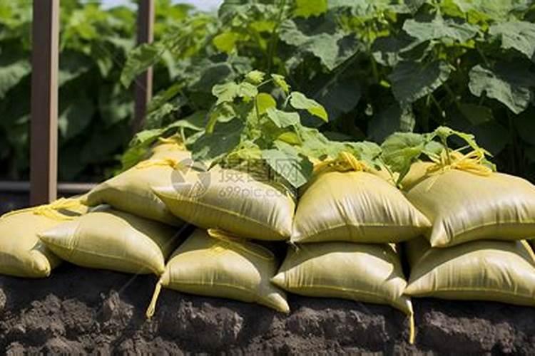 巨峰葡萄月子肥用什么肥料好