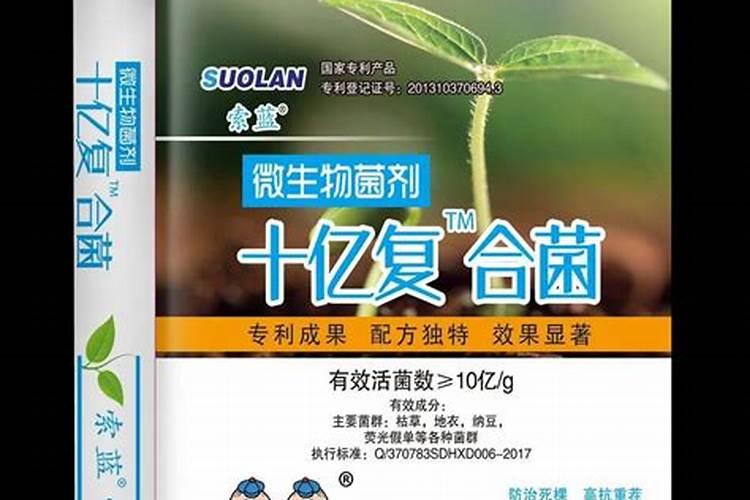 为什么粪便是很好的肥料呢？