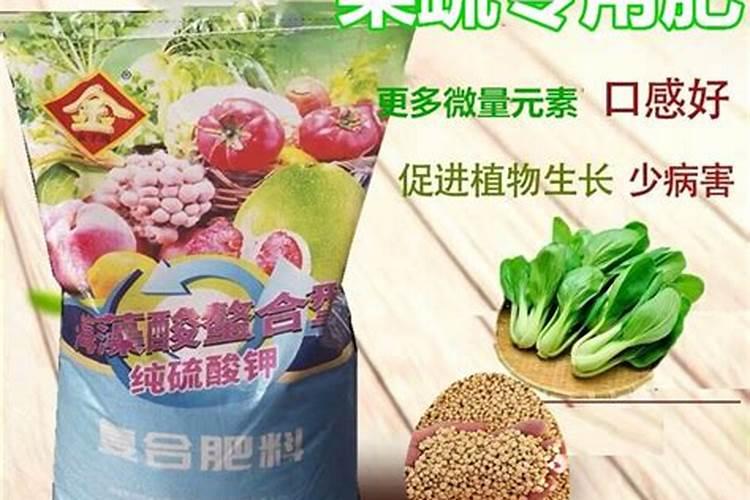 阳台种菜如何施肥