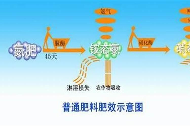 今年江苏小麦价格是多少钱一斤？