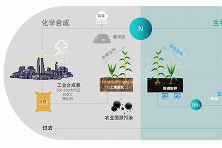 复合肥长效添加剂产品的作用原理