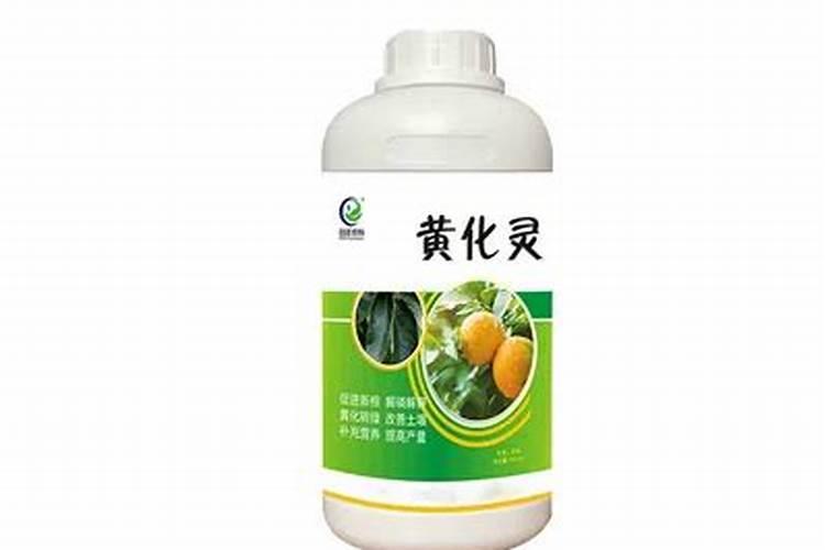 槟榔追肥方法时间