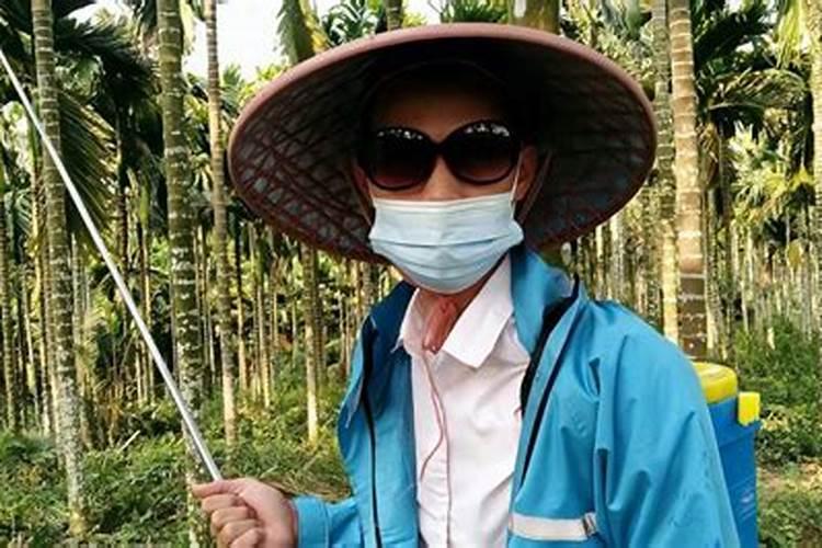 槟榔追肥方法时间