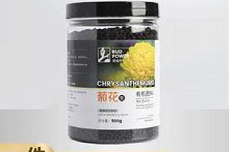 菊花怎么施肥
