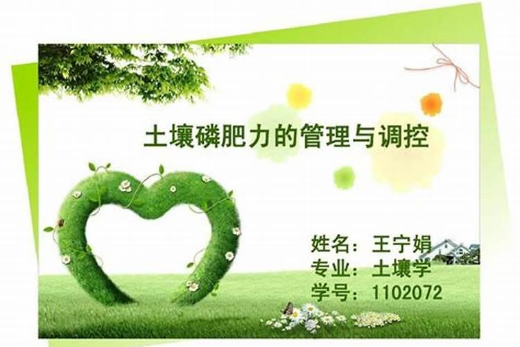 玉米种植技术与管理施肥