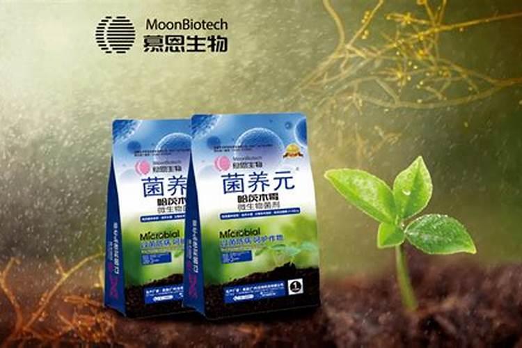 请问:盐湖钾肥连续下跌的原因是什么？何时有望企稳回升？
