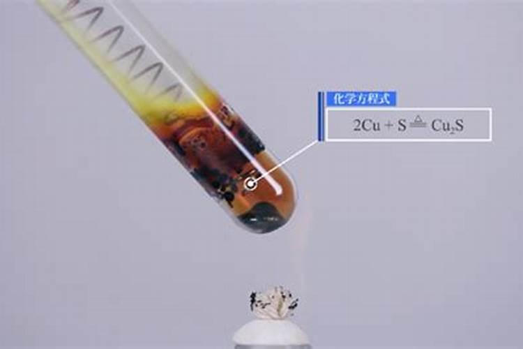 枇杷树大量黄叶怎么办