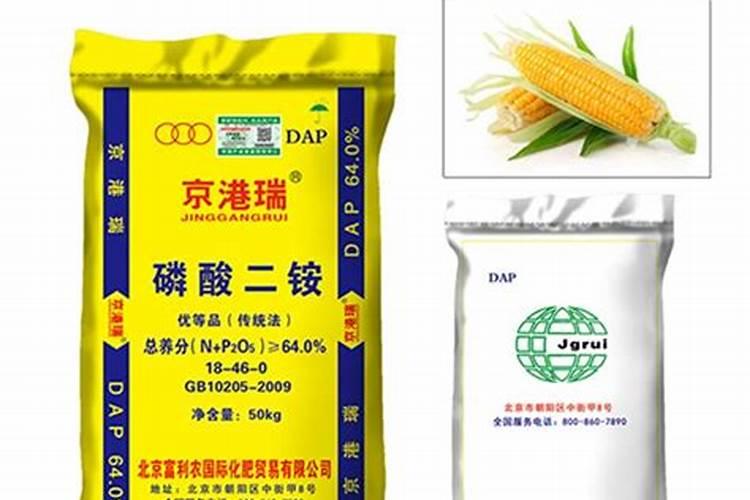 花卉磷肥用什么