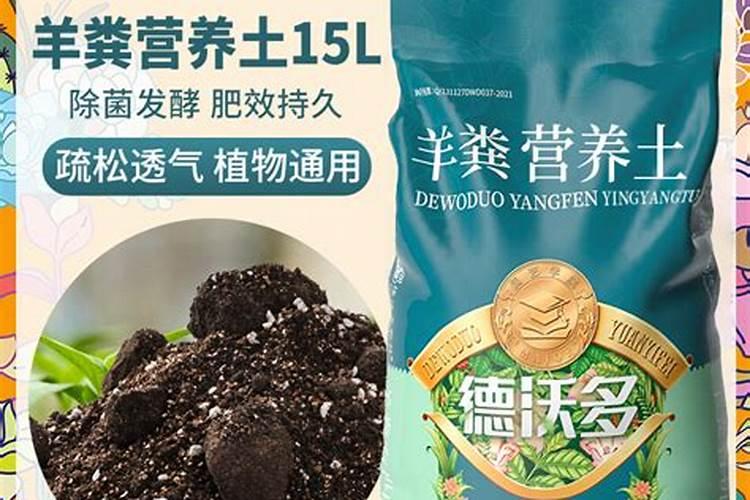 康乃馨用什么肥料,康乃馨肥料推荐(康乃馨营养液)