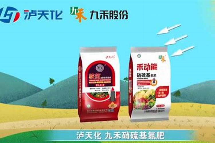 九禾股份有限公司发展历程