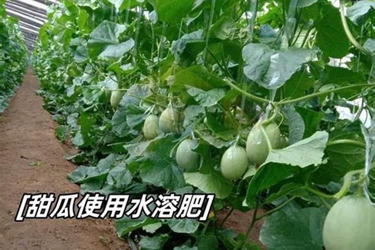 今日上证大盘走势盐湖股份