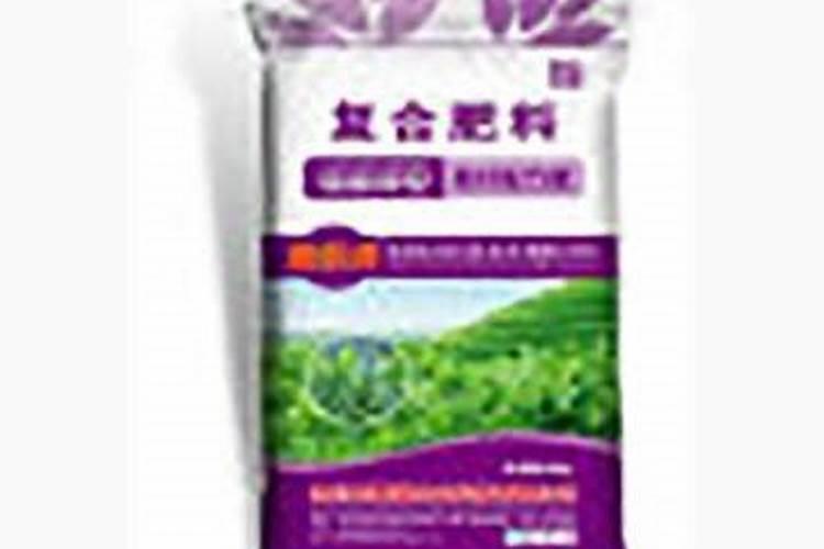 黄姜现在要不要施肥？施什么肥？