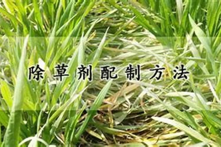一斤高氮肥要兑多少斤水浇葡萄树？